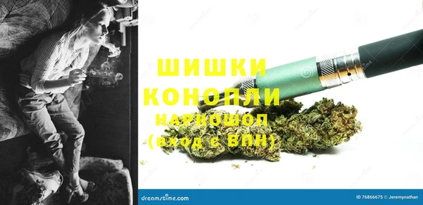 ПСИЛОЦИБИНОВЫЕ ГРИБЫ Волосово