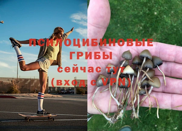 альфа пвп Володарск
