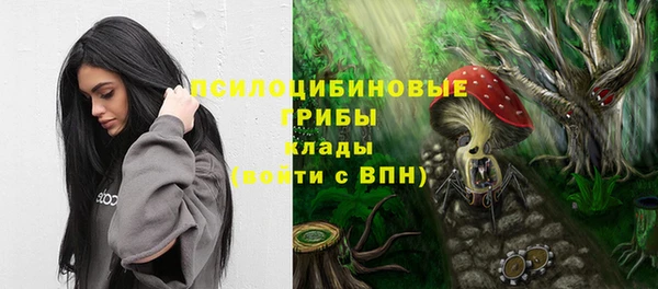ПСИЛОЦИБИНОВЫЕ ГРИБЫ Волосово