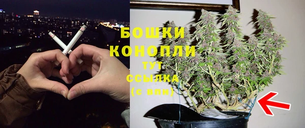 ПСИЛОЦИБИНОВЫЕ ГРИБЫ Волосово