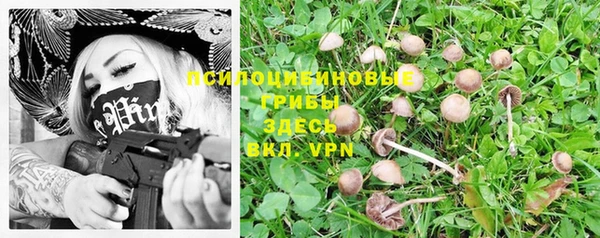альфа пвп Володарск