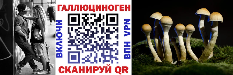 Купить закладки  Хасавюрт  Псилоцибиновые грибы ЛСД 