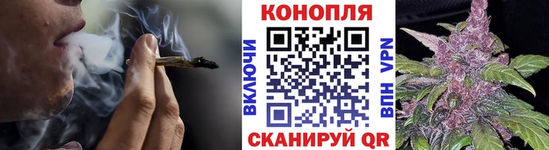 Конопля Ganja  Купить где  Хасавюрт 